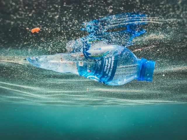 バイオプラスチック製品を今すぐ使え、なんて無責任に言いません