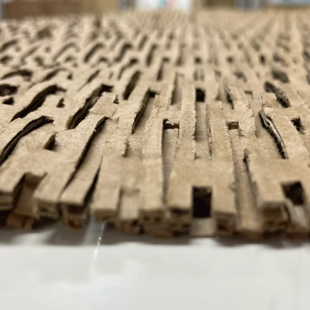 拡大したデクルムシート